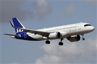 Alfonso Sols - Asociacin Canary Islands Spotting. Click to see full size photo