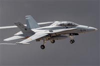 ©Adolfo Bento - Gran Canaria Spotters. Click to see full size photo ©Adolfo Bento - Gran Canaria Spotters. Click to see full size photo