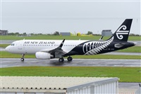 �Miguel A. �gueda Rguez.  (CANARY ISLANDS SPOTTING). Haz click para ampliar