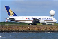 �Miguel A. �gueda Rguez.  (CANARY ISLANDS SPOTTING). Click to see full size photo