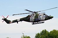ngel Oss. Click to see full size photo