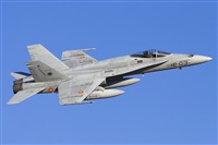 ©Antonio Zamora - La Mancha Spotters. Click to see full size photo ©Antonio Zamora - La Mancha Spotters. Click to see full size photo
