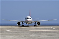 Javier de la Cruz - CANARY ISLANDS SPOTTING. Click to see full size photo