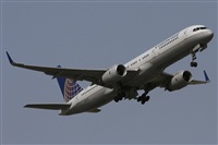 Jos Miguel Bernases - Noisy Spotters. Click to see full size photo