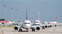 Rubn Gil - Noisy Spotters. Click to see full size photo