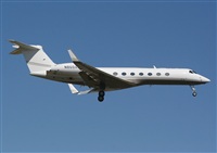 JAbreu                                                              www.portugalspotters.net. Click to see full size photo