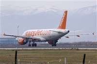 Jos Miguel Bernases - Noisy Spotters. Click to see full size photo