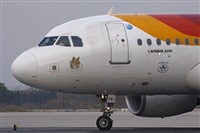 Jos Miguel Bernases - Noisy Spotters. Click to see full size photo