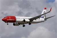Alfonso Sols - Asociacin Canary Islands Spotting. Click to see full size photo