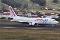 Alfonso Sols - Asociacin Canary Islands Spotting. Click to see full size photo