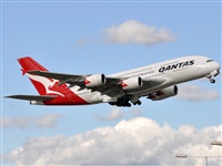 Rubn Gil - Noisy Spotters. Click to see full size photo