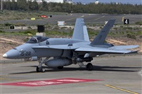 Florencio Martn Melin - Lanzarote Spotters. Click to see full size photo