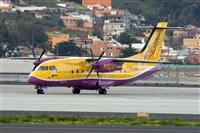 Javier de la Cruz - CANARY ISLANDS SPOTTING. Haz click para ampliar