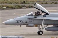 Florencio Martn Melin - Lanzarote Spotters. Click to see full size photo