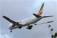 Jos Miguel Bernases - Noisy Spotters. Click to see full size photo