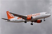 Alfonso Sols - Asociacin Canary Islands Spotting. Click to see full size photo