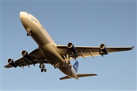 Rubn C.. Click to see full size photo