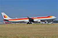 Miguel A. gueda Rguez.  (CANARY ISLANDS SPOTTING). Haz click para ampliar
