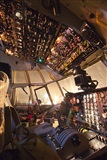 Rui Alves - Madeira Spotters. Click to see full size photo