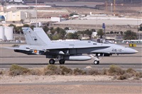 Alfonso Sols - Asociacin Canary Islands Spotting. Click to see full size photo