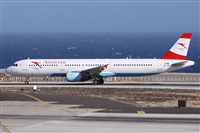 Alfonso Sols - Asociacin Canary Islands Spotting. Click to see full size photo