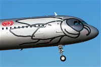 Florencio Martn Melin - Lanzarote Spotters. Haz click para ampliar