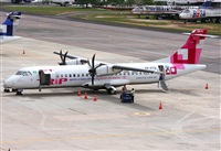 Fabio Duarte - Manaus Spotting Team. Click to see full size photo