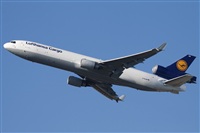 Miguel Alia - Noisy Spotters. Click to see full size photo