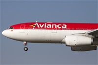 Miguel Alia - Noisy Spotters. Click to see full size photo