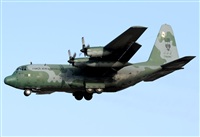 ©Alejandro H.L - Gran Canaria Spotters. Click to see full size photo ©Alejandro H.L - Gran Canaria Spotters. Click to see full size photo