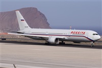 ©Alfonso Solís - Asociación Canary Islands Spotting. Click to see full size photo ©Alfonso Solís - Asociación Canary Islands Spotting. Click to see full size photo