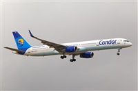 Javier de la Cruz - CANARY ISLANDS SPOTTING. Click to see full size photo