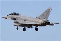 Alfonso Sols - Asociacin Canary Islands Spotting. Haz click para ampliar