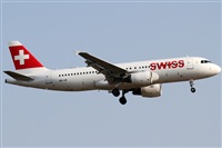 Rubn Gil - Noisy Spotters. Click to see full size photo