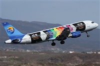 ©Alfonso Solís - Asociación Canary Islands Spotting. Click to see full size photo ©Alfonso Solís - Asociación Canary Islands Spotting. Click to see full size photo