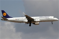 Rubn Gil - Noisy Spotters. Click to see full size photo