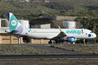 Alfonso Sols - Asociacin Canary Islands Spotting. Haz click para ampliar
