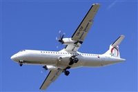 Saimon J Rodriguez   -   Canary Islands Spotting. Click to see full size photo
