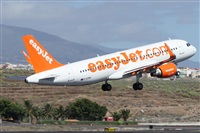 ©Alfonso Solís - Asociación Canary Islands Spotting. Click to see full size photo ©Alfonso Solís - Asociación Canary Islands Spotting. Click to see full size photo