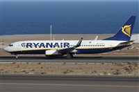 Alfonso Sols - Asociacin Canary Islands Spotting. Click to see full size photo