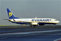 Alejandro Bethencourt (Canary Islands Spotting). Click to see full size photo