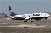 ©Alfonso Solís - Asociación Canary Islands Spotting. Click to see full size photo ©Alfonso Solís - Asociación Canary Islands Spotting. Click to see full size photo
