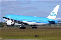 Miguel A. gueda Rguez.  (CANARY ISLANDS SPOTTING). Click to see full size photo