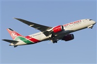 Rubn Gil - Noisy Spotters. Click to see full size photo