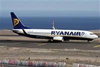 Alfonso Sols - Asociacin Canary Islands Spotting. Haz click para ampliar
