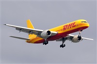 Miguel A. gueda Rguez.  (CANARY ISLANDS SPOTTING). Click to see full size photo