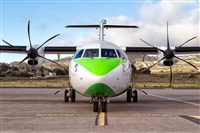 Javier de la Cruz - CANARY ISLANDS SPOTTING. Click to see full size photo