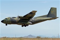 Fco Javier Garca Ruiz. Click to see full size photo