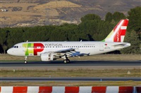 Nacho Rodriguez - Canary Islands Spotting. Click to see full size photo