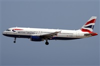 Alfonso Sols - Asociacin Canary Islands Spotting. Click to see full size photo